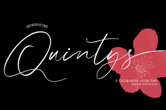 Quintys Font Review